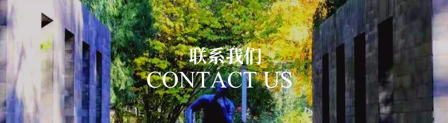 联系我们