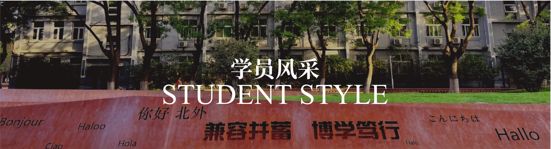 学员风采